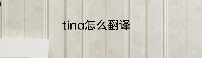 tina怎么翻译