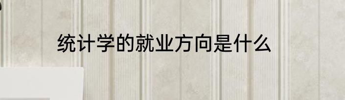 统计学的就业方向是什么