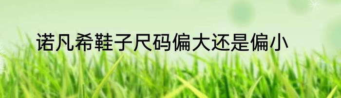 诺凡希鞋子尺码偏大还是偏小