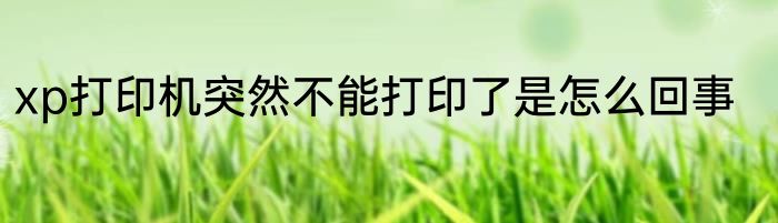 xp打印机突然不能打印了是怎么回事