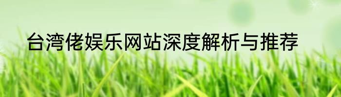 台湾佬娱乐网站深度解析与推荐