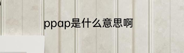 ppap是什么意思啊