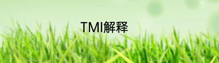 TMI解释
