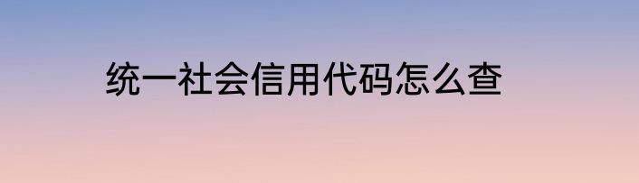 统一社会信用代码怎么查