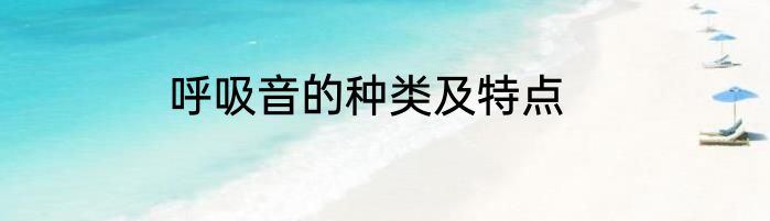呼吸音的种类及特点