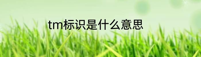 tm标识是什么意思