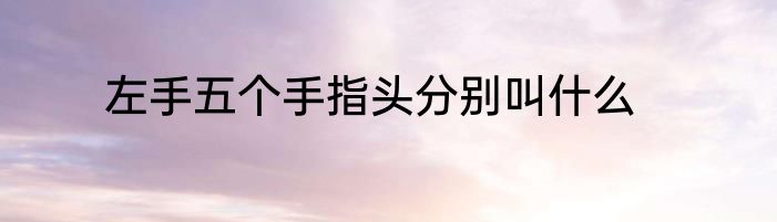 左手五个手指头分别叫什么