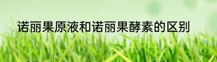 诺丽果原液和诺丽果酵素的区别