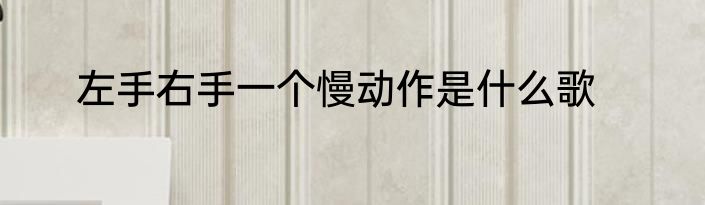 左手右手一个慢动作是什么歌