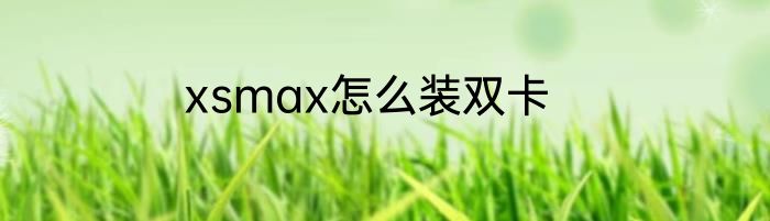 xsmax怎么装双卡