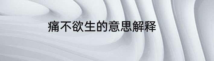 痛不欲生的意思解释