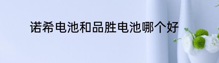诺希电池和品胜电池哪个好