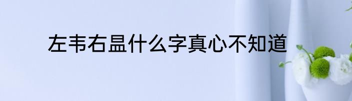 左韦右昷什么字真心不知道