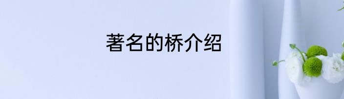 著名的桥介绍