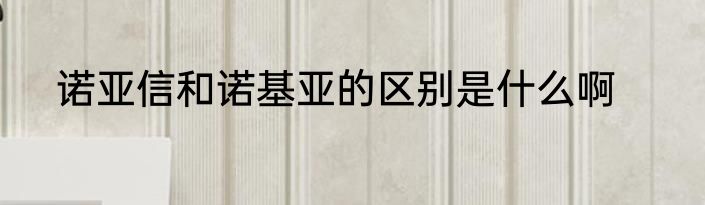 诺亚信和诺基亚的区别是什么啊