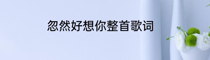 忽然好想你整首歌词