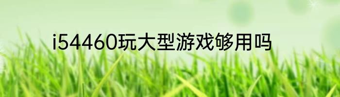 i54460玩大型游戏够用吗
