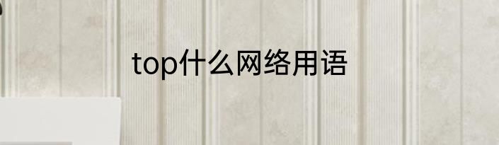top什么网络用语