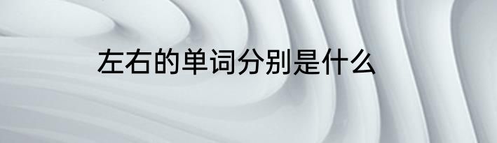 左右的单词分别是什么