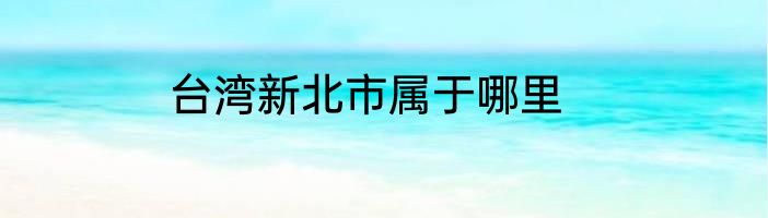 台湾新北市属于哪里