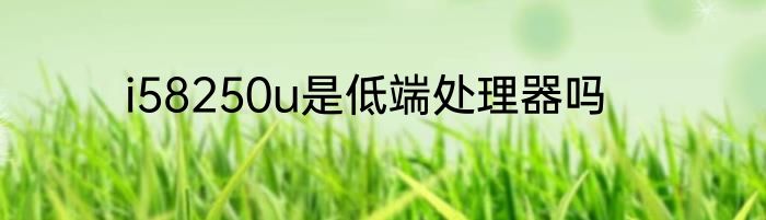 i58250u是低端处理器吗
