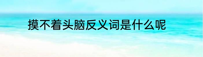 摸不着头脑反义词是什么呢