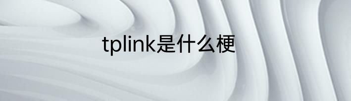 tplink是什么梗
