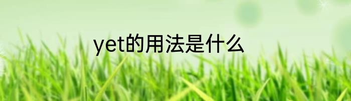 yet的用法是什么