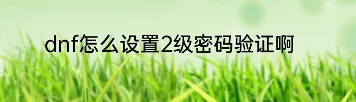 dnf怎么设置2级密码验证啊