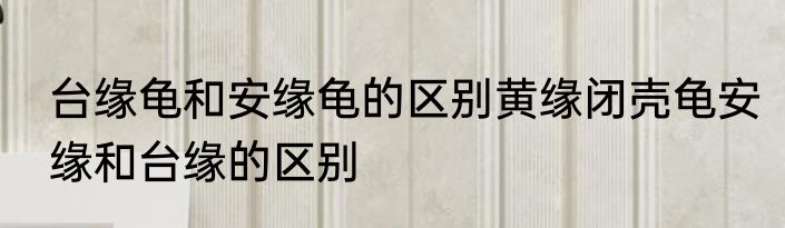 台缘龟和安缘龟的区别黄缘闭壳龟安缘和台缘的区别