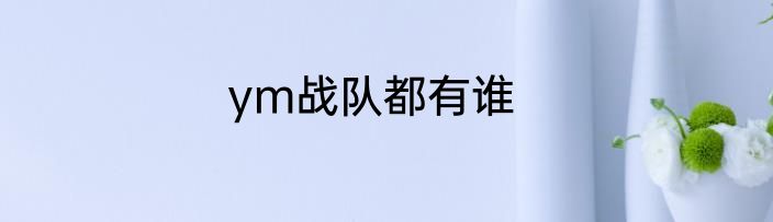 ym战队都有谁