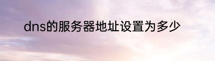 dns的服务器地址设置为多少