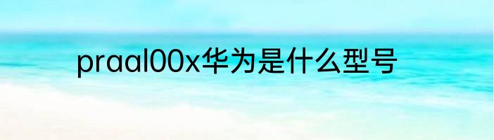 praal00x华为是什么型号