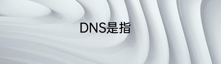 DNS是指
