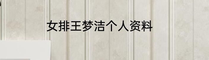 女排王梦洁个人资料