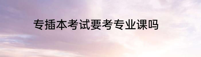 专插本考试要考专业课吗