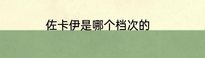 佐卡伊是哪个档次的