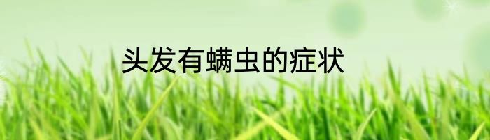 头发有螨虫的症状