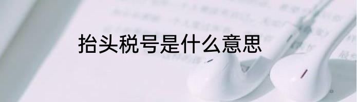 抬头税号是什么意思