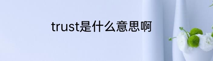 trust是什么意思啊