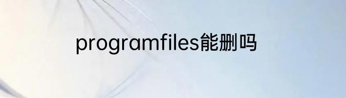 programfiles能删吗