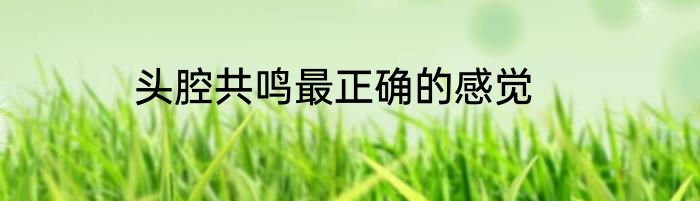 头腔共鸣最正确的感觉