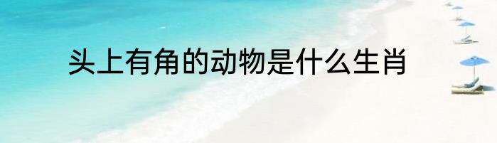 头上有角的动物是什么生肖