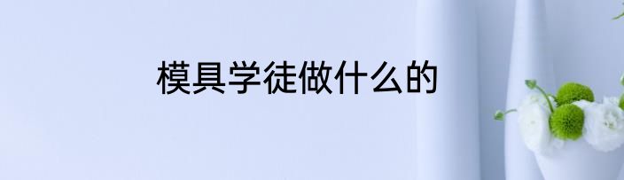 模具学徒做什么的