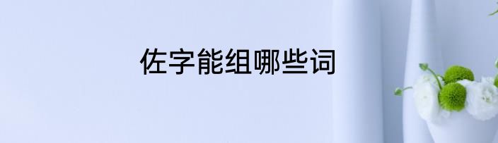 佐字能组哪些词