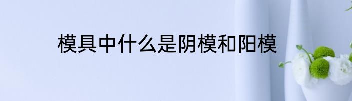 模具中什么是阴模和阳模