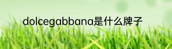 dolcegabbana是什么牌子