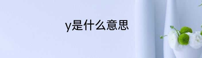 y是什么意思