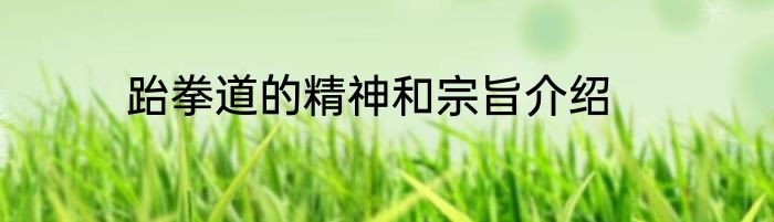 跆拳道的精神和宗旨介绍