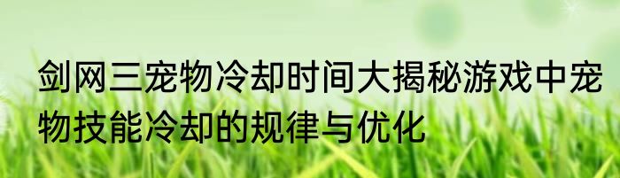 剑网三宠物冷却时间大揭秘游戏中宠物技能冷却的规律与优化